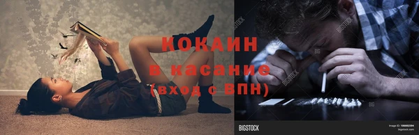 гашик Алзамай