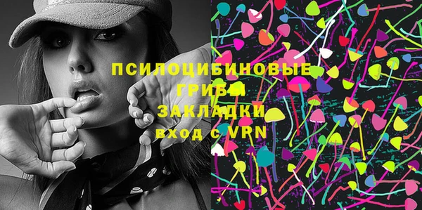 гашик Алзамай