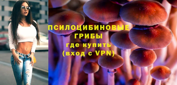 эйфоретик Алексеевка