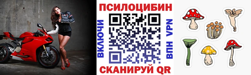 Галлюциногенные грибы Psilocybe  где найти наркотики  Закаменск 